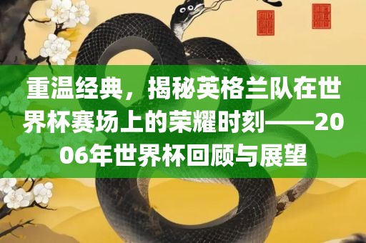 重温经典，揭秘英格兰队在世界杯赛场上的荣耀时刻——2006年世界杯回顾与展望