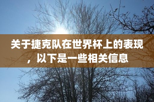 关于捷克队在世界杯上的表现，以下是一些相关信息眉山市正发家政服务有限公司