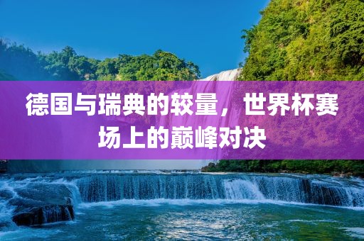 德国与瑞典的较量，世界杯赛场上的巅峰对决眉山市正发家政服务有限公司