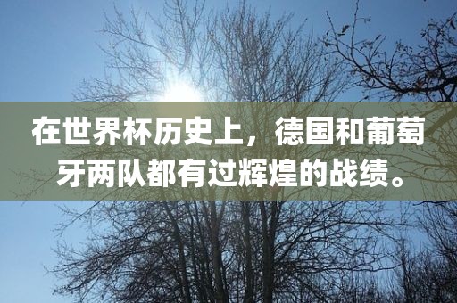 在世界杯历史上，德国和葡萄牙两队都有过辉煌的战绩。眉山市正发家政服务有限公司