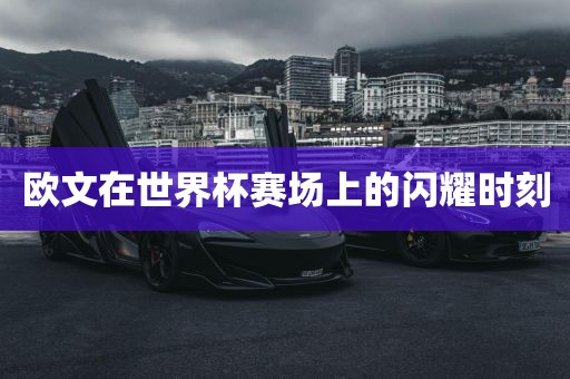 欧文在世界杯眉山市正发家政服务有限公司赛场上的闪耀时刻