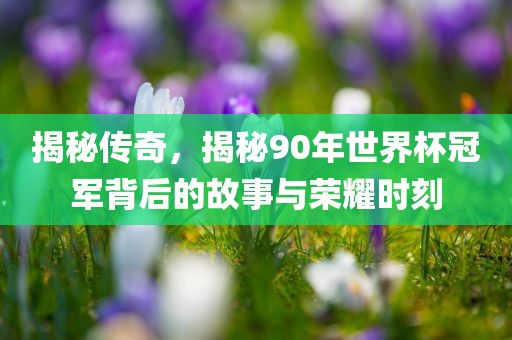 揭秘传奇，揭秘90年世界杯冠军背后的故事与荣耀时刻眉山市正发家政服务有限公司