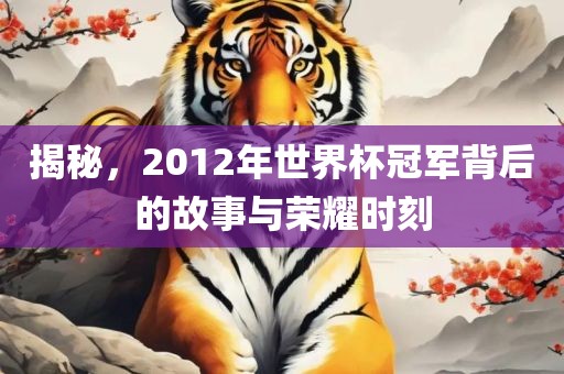 揭秘，2012年世界杯冠军背后的故事与荣耀时刻眉山市正发家政服务有限公司