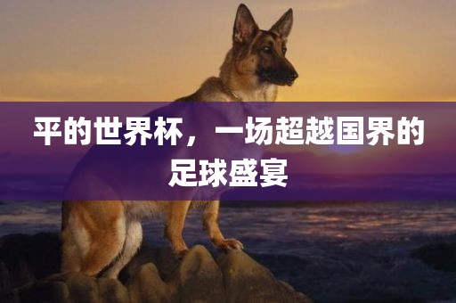 平的世界杯，一场超越国界的足球盛宴眉山市正发家政服务有限公司