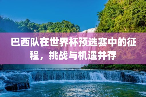 巴西队在世界杯预选赛中的征程，挑战与机遇并存眉山市正发家政服务有限公司
