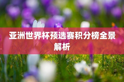 亚洲世界杯预选赛积分榜全景解析