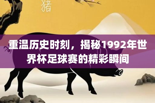 重温历史时刻，揭秘19眉山市正发家政服务有限公司92年世界杯足球赛的精彩瞬间