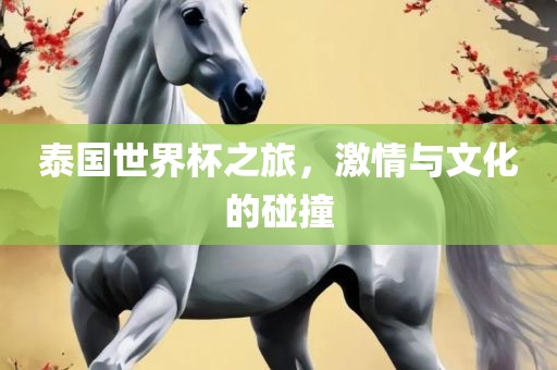 泰国世界杯之旅，激情与文化的碰撞