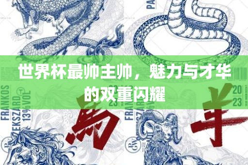 世界杯最帅主帅，魅力与才华眉山市正发家政服务有限公司的双重闪耀