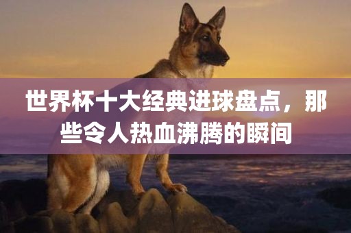 世界杯十大经典进球盘点，那些令人热血沸腾的瞬间眉山市正发家政服务有限公司