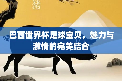 巴西世界杯足球宝贝，魅力与激情的完美结合