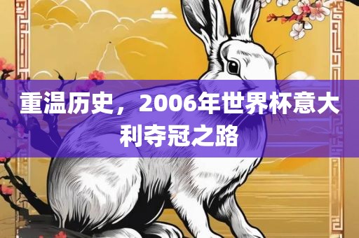 重温历史，2006年世界杯意大利夺冠之路眉山市正发家政服务有限公司