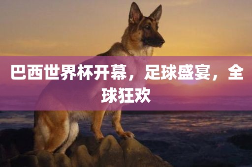 巴西世界杯开幕，足球盛宴，全球狂欢眉山市正发家政服务有限公司