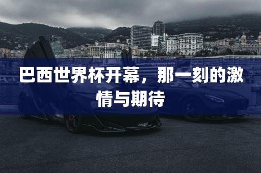 巴西世界杯开幕，那一刻的激情与期待眉山市正发家政服务有限公司