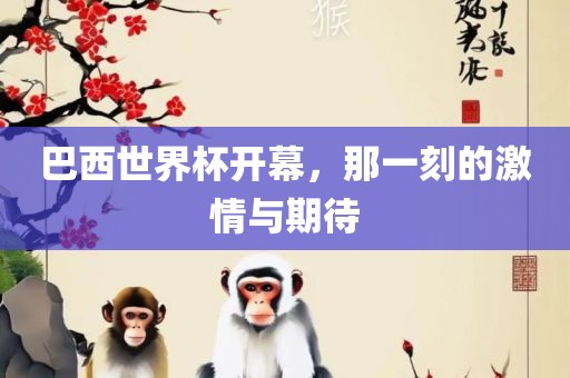 巴西世界杯开幕，那一刻的激情与期待眉山市正发家政服务有限公司
