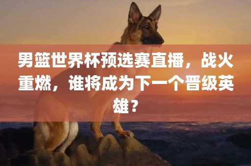 男篮世界杯预选赛直播，战火重燃，谁将成为下一个晋级英雄？眉山市正发家政服务有限公司