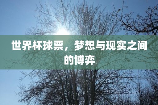世界杯球票，梦想与现实之间的博弈眉山市正发家政服务有限公司