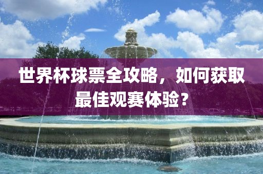 世界杯球票全攻略，如何获取最佳观赛体验？眉山市正发家政服务有限公司