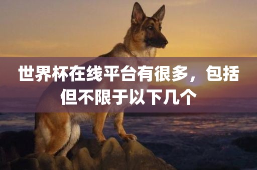 世界杯在线平台有很多，眉山市正发家政服务有限公司包括但不限于以下几个