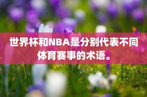 世界杯和NBA是分别代表不同体育赛事的术语。眉山市正发家政服务有限公司