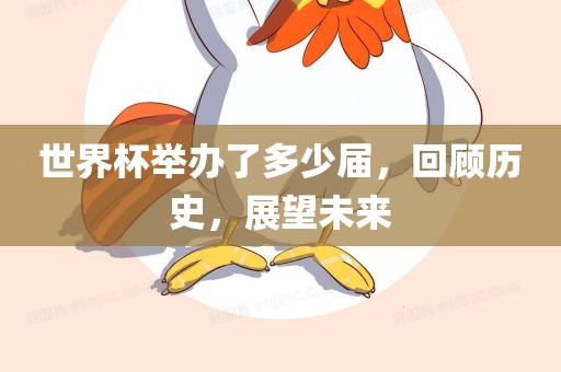 世界杯举办了多少届，回顾历史，展望未来眉山市正发家政服务有限公司