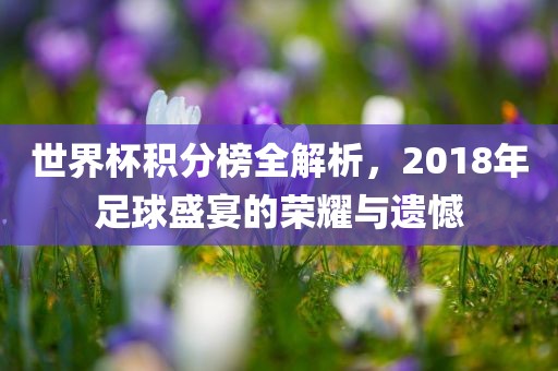 世界杯积分榜全解析，2018年足球盛宴的荣耀与遗憾