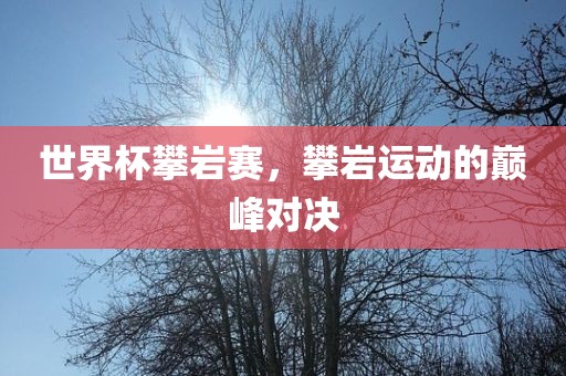 世界杯攀岩赛，攀岩运动的巅峰对决眉山市正发家政服务有限公司