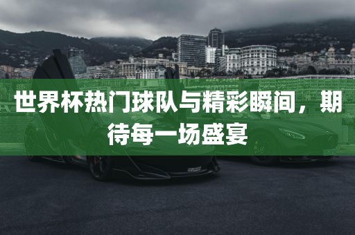 世界杯热门球队与精彩瞬间，期待每一场盛宴眉山市正发家政服务有限公司
