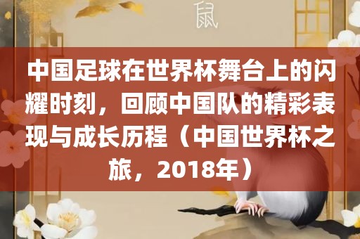 中国足球在世界杯舞台上的闪耀时刻，回顾中国队的精彩表现与成长历程（中国世界杯之旅，2018年）眉山市正发家政服务有限公司