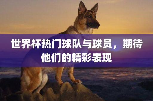 世界杯热门球队