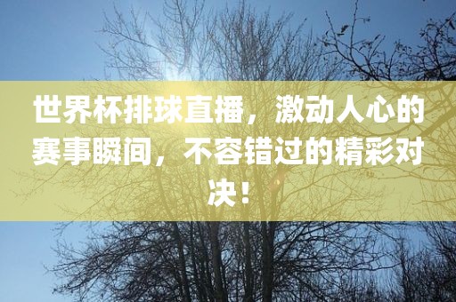 世界杯排球直播，激动人心的赛事瞬间，不容错过的精彩对决！眉山市正发家政服务有限公司