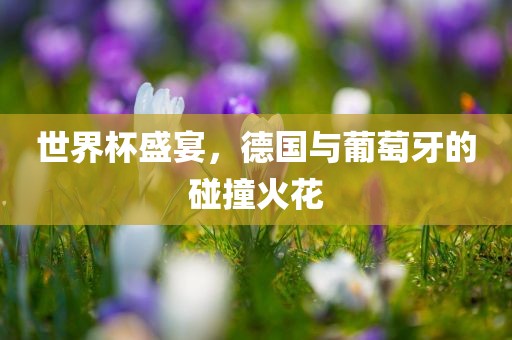 世界杯盛宴，德国与葡萄牙的碰撞火花眉山市正发家政服务有限公司
