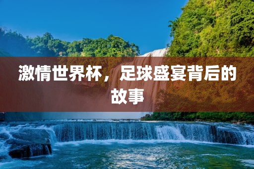 眉山市正发家政服务有限公司激情世界杯，足球盛宴背后的故事