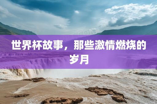 世界杯故事，那些激情燃烧的岁月