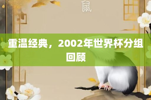 重温经典，2002年世界杯分组回顾眉山市正发家政服务有限公司