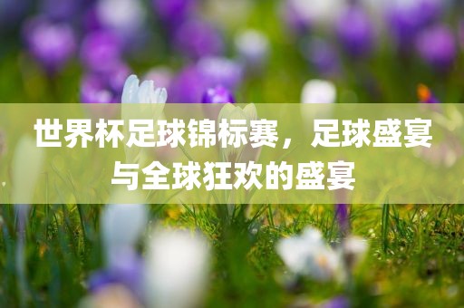 世界杯足球锦标赛，足球盛宴与全球狂欢的盛宴