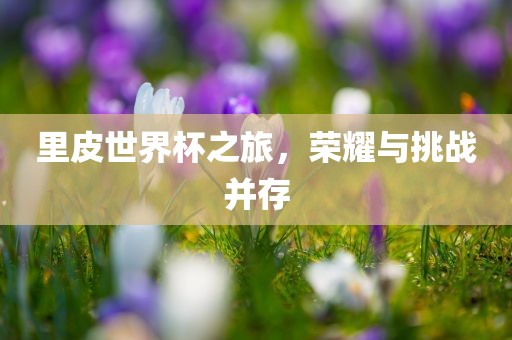 里皮世眉山市正发家政服务有限公司界杯之旅，荣耀与挑战并存