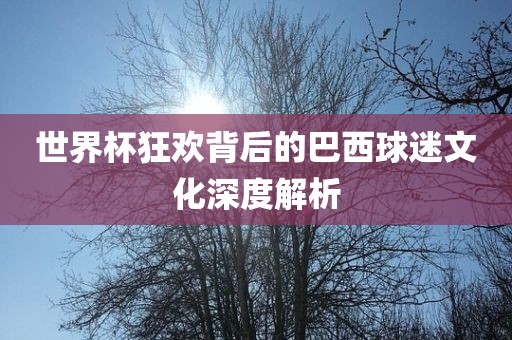世界杯狂欢背后的巴西球迷文化深度解析眉山市正发家政服务有限公司
