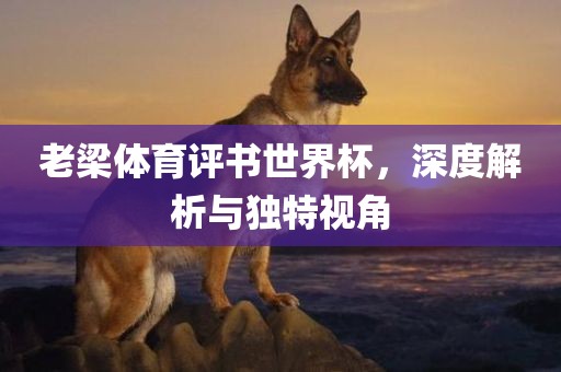 老梁体育评书世界杯，深度解析与独特视角