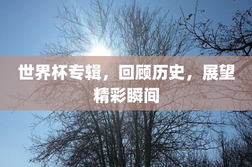 zhaojiaying 第8页