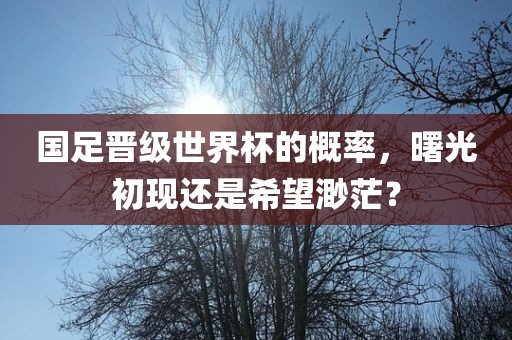 国足晋级世界杯的概率，曙光初现还是希望渺茫？眉山市正发家政服务有限公司
