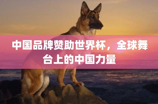 中国品眉山市正发家政服务有限公司牌赞助世界杯，全球舞台上的中国力量