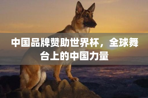 中国品牌赞助世界杯，全球舞台上的中国力量