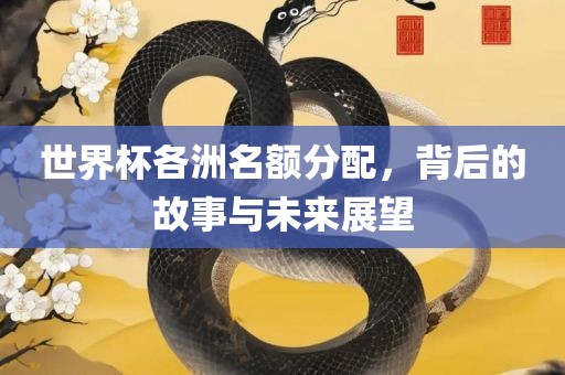世界杯各洲名额分配，背后的故事与未来展望眉山市正发家政服务有限公司