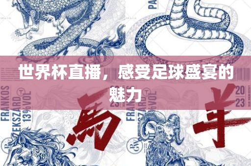 世界杯直播，感受足球盛宴的魅力眉山市正发家政服务有限公司