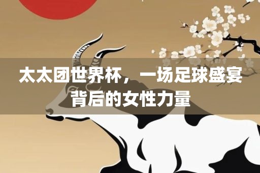 太太团世界杯，一场足球盛宴背后的女性力量眉山市正发家政服务有限公司