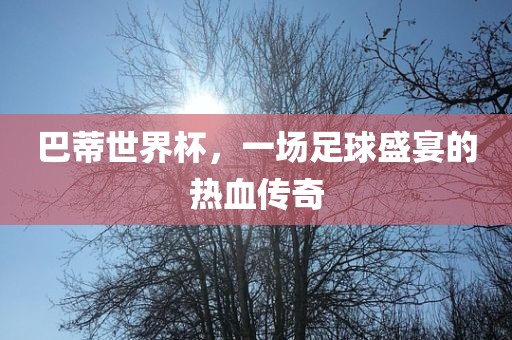 巴蒂世界杯，一场足球盛宴的热血传奇眉山市正发家政服务有限公司