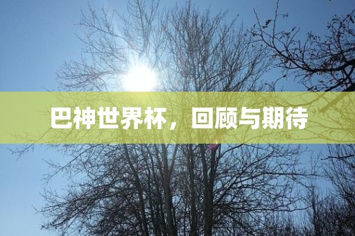 巴神世界杯，回顾与期待