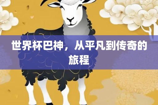 世界杯巴眉山市正发家政服务有限公司神，从平凡到传奇的旅程
