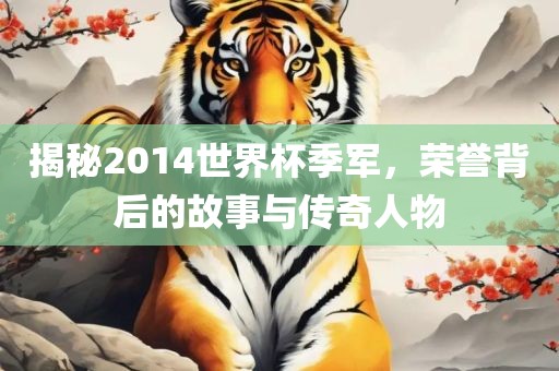 揭秘2014世界杯季军，荣誉背后的故事与传奇人物